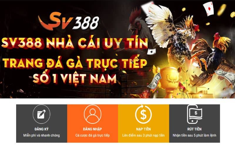 SV388 là sân chơi cá cược trực tuyến đẳng cấp