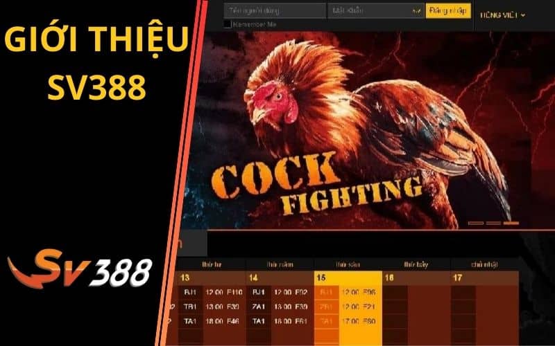 SV388 là trang đá gà trực tuyến hàng đầu Việt Nam