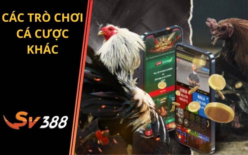 Nhiều trò chơi cá cược hấp dẫn khác