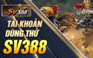 Tài khoản dùng thử SV388